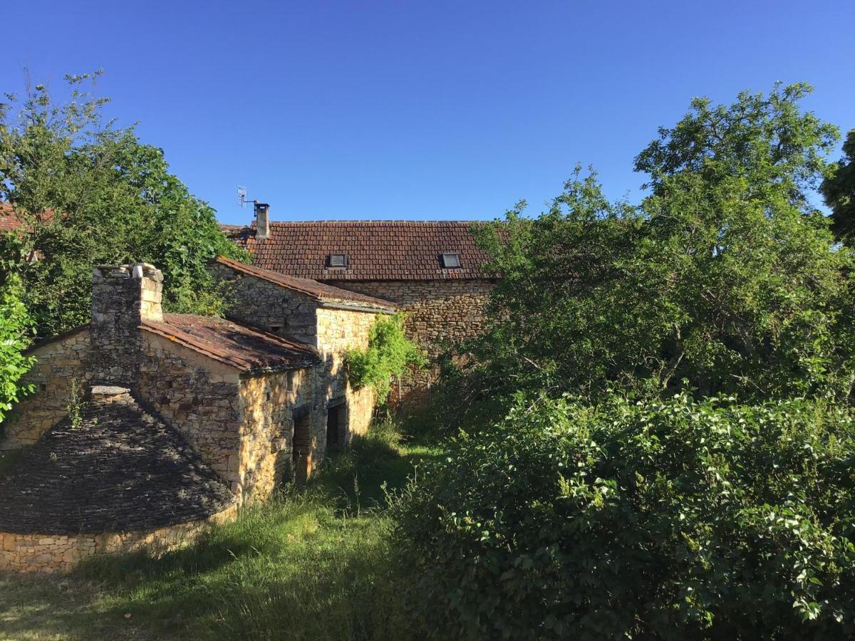 Les Temps Des Sources Appartement Veyrines-de-Domme Buitenkant foto